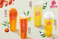 加盟蜜雪冰城要多少钱总共费用，蜜雪冰城金华地区招商加盟电话